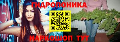 ECSTASY Кузнецк
