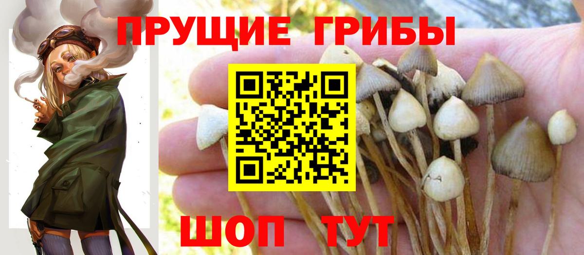 Галлюциногенные грибы мицелий Таганрог